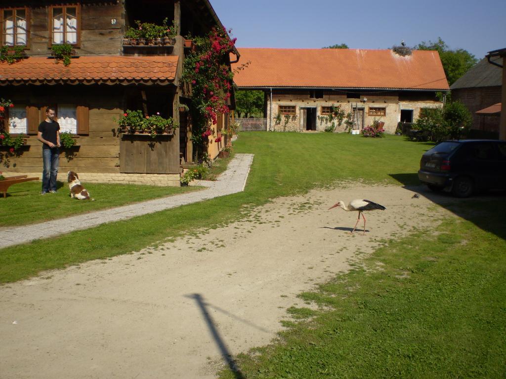 Apartments Iza Na Trem Cigoc Exterior photo