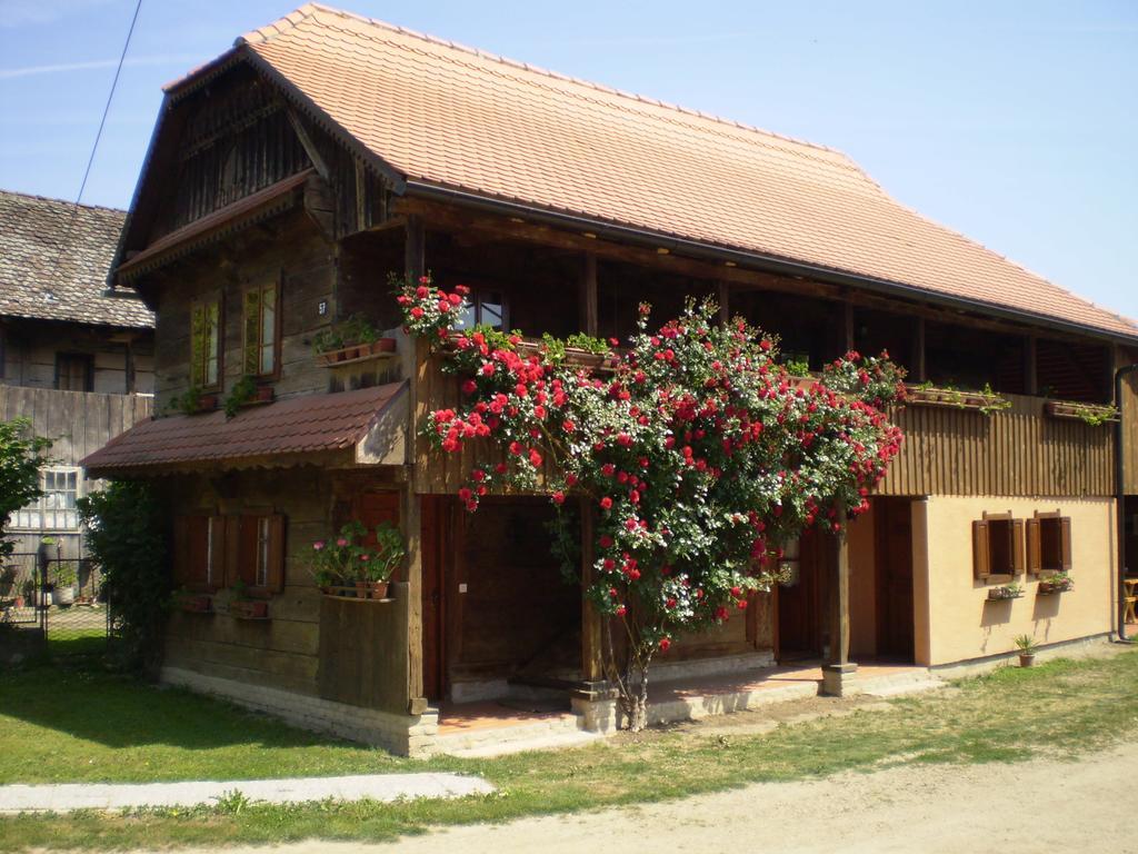 Apartments Iza Na Trem Cigoc Exterior photo